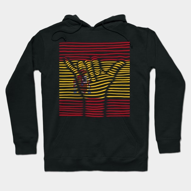 España Proud Flag, Spain gift heritage, Spanish girl Boy Friend Español Hoodie by JayD World